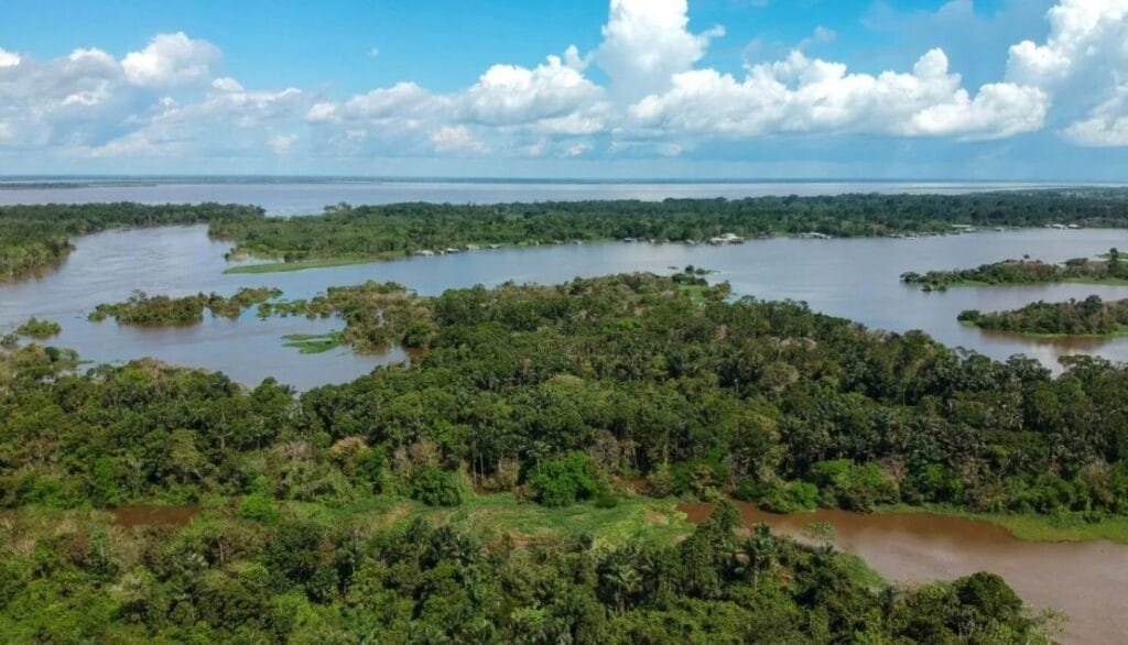 Amazon Rainflorest Lodge